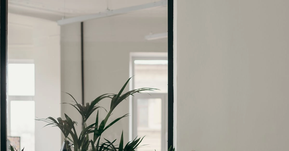 Немецкие игорные сайты онлайн - будущее цифровых развлечений