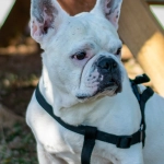 Планирование развлечений через программы лояльности казино